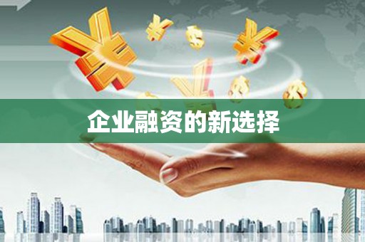 坪林企业融资的新选择
