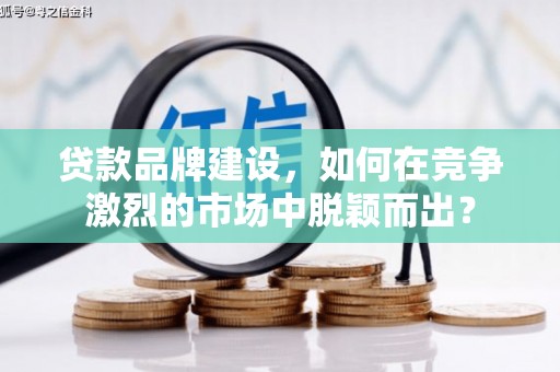 坪林贷款品牌建设，如何在竞争激烈的市场中脱颖而出？