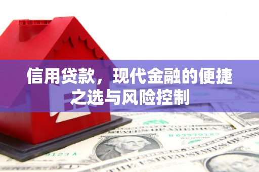 坪林信用贷款，现代金融的便捷之选与风险控制