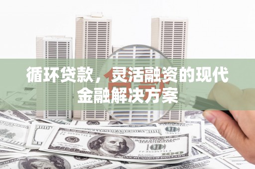 坪林循环贷款，灵活融资的现代金融解决方案