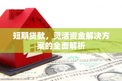 坪林短期贷款，灵活资金解决方案的全面解析