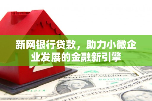 坪林新网银行贷款，助力小微企业发展的金融新引擎