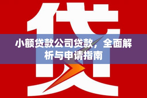 坪林小额贷款公司贷款，全面解析与申请指南