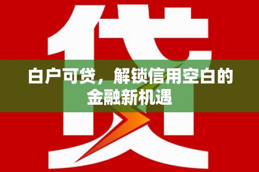 坪林白户可贷，解锁信用空白的金融新机遇