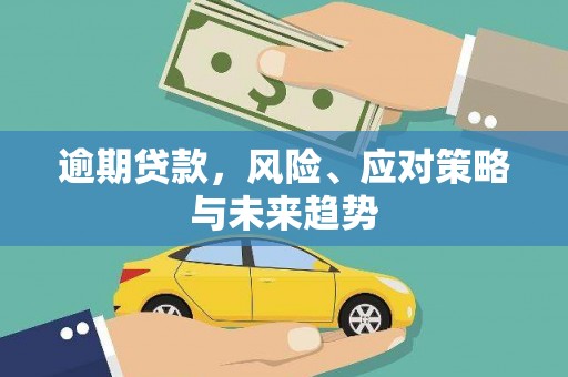 坪林逾期贷款，风险、应对策略与未来趋势