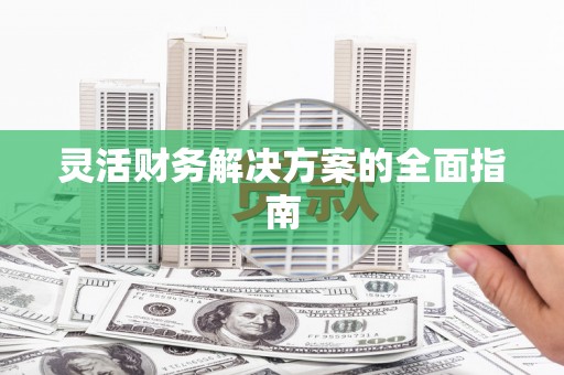 坪林灵活财务解决方案的全面指南