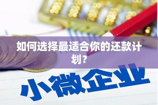 坪林如何选择最适合你的还款计划？