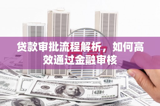 坪林贷款审批流程解析，如何高效通过金融审核