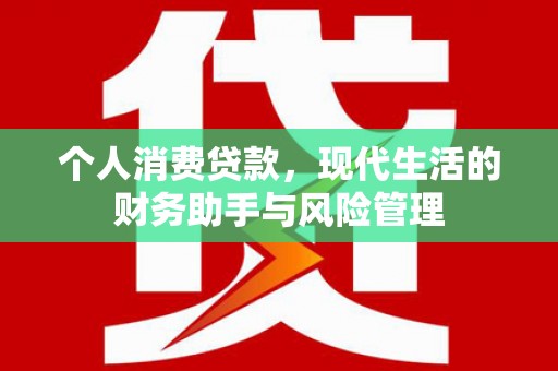 坪林个人消费贷款，现代生活的财务助手与风险管理