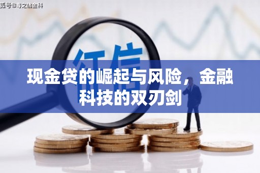 坪林现金贷的崛起与风险，金融科技的双刃剑