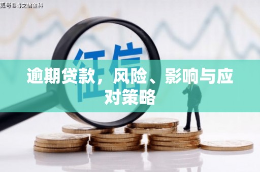 坪林逾期贷款，风险、影响与应对策略