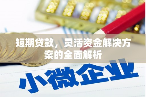 坪林短期贷款，灵活资金解决方案的全面解析