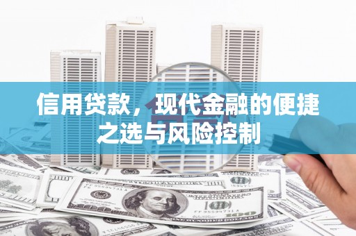 坪林信用贷款，现代金融的便捷之选与风险控制