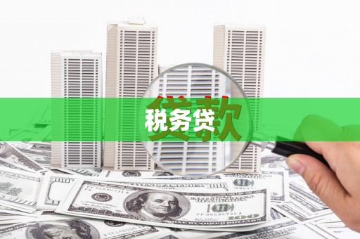 坪林税务贷