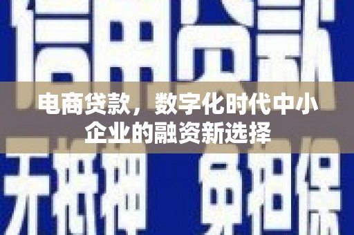 坪林电商贷款，数字化时代中小企业的融资新选择