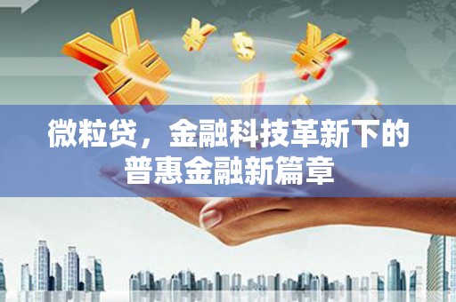 坪林微粒贷，金融科技革新下的普惠金融新篇章