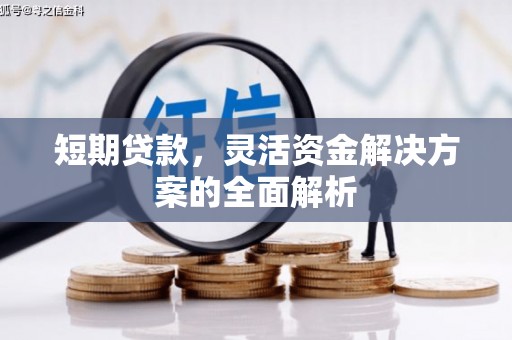 坪林短期贷款，灵活资金解决方案的全面解析