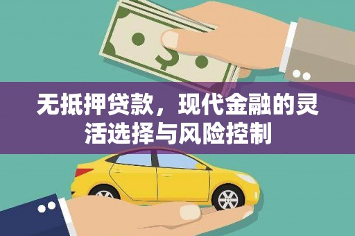 坪林无抵押贷款，现代金融的灵活选择与风险控制
