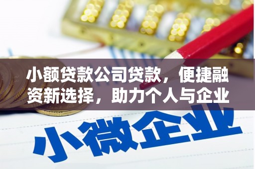 坪林小额贷款公司贷款，便捷融资新选择，助力个人与企业成长