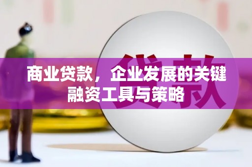 坪林商业贷款，企业发展的关键融资工具与策略