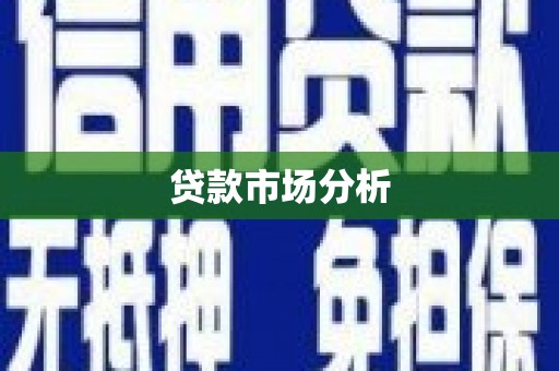 坪林贷款市场分析