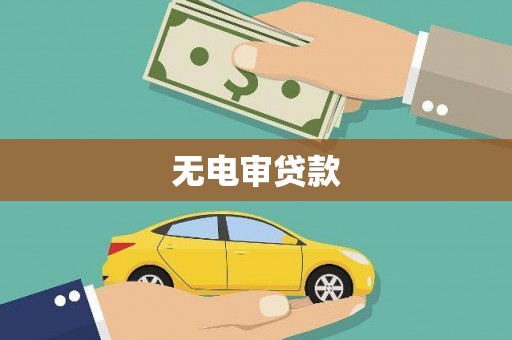 坪林无电审贷款