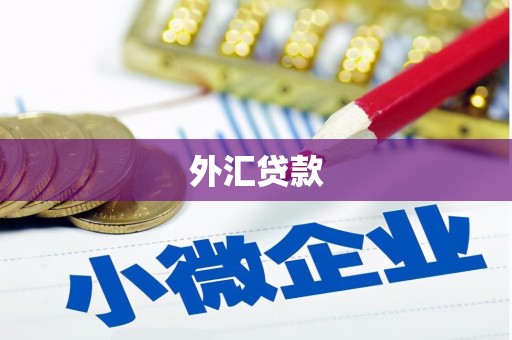 坪林外汇贷款