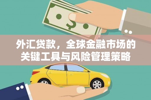 坪林外汇贷款，全球金融市场的关键工具与风险管理策略