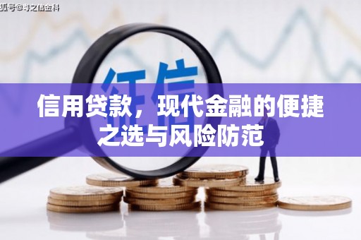 坪林信用贷款，现代金融的便捷之选与风险防范