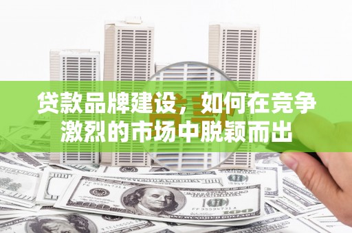 坪林贷款品牌建设，如何在竞争激烈的市场中脱颖而出