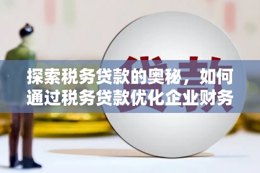 坪林探索税务贷款的奥秘，如何通过税务贷款优化企业财务