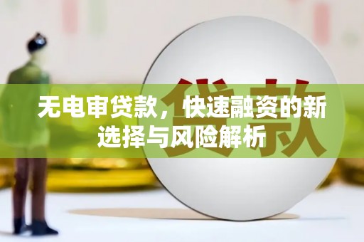 坪林无电审贷款，快速融资的新选择与风险解析