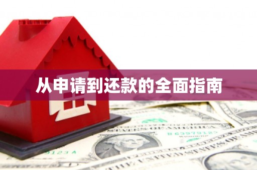 坪林从申请到还款的全面指南
