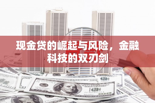 坪林现金贷的崛起与风险，金融科技的双刃剑