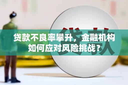 坪林贷款不良率攀升，金融机构如何应对风险挑战？