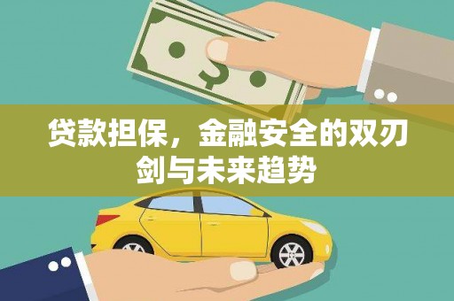 坪林贷款担保，金融安全的双刃剑与未来趋势