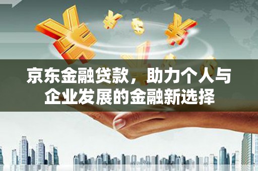 坪林京东金融贷款，助力个人与企业发展的金融新选择