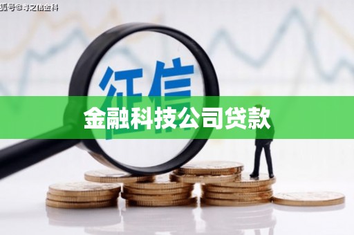 坪林金融科技公司贷款