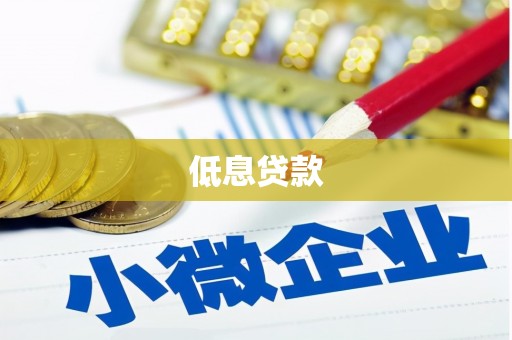 坪林低息贷款