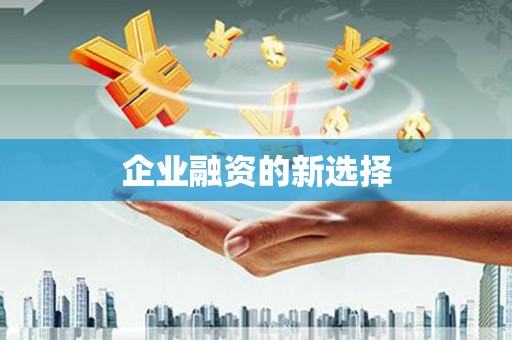 坪林企业融资的新选择