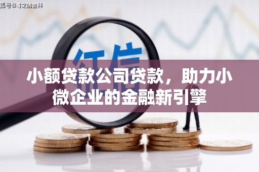 坪林小额贷款公司贷款，助力小微企业的金融新引擎