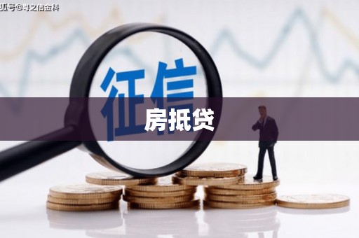 坪林房抵贷
