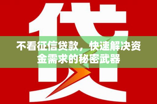 坪林不看征信贷款，快速解决资金需求的秘密武器