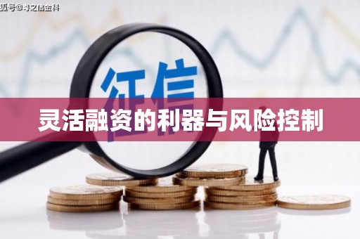 坪林灵活融资的利器与风险控制