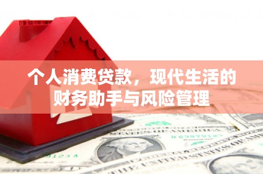坪林个人消费贷款，现代生活的财务助手与风险管理