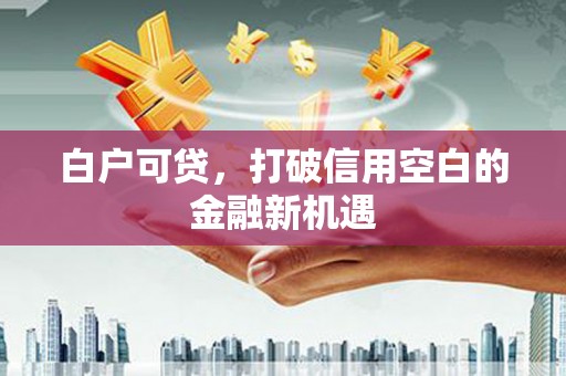 坪林白户可贷，打破信用空白的金融新机遇
