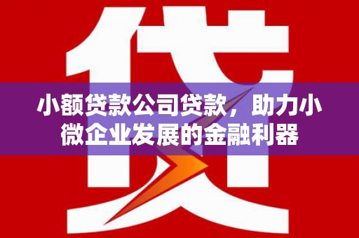 坪林小额贷款公司贷款，助力小微企业发展的金融利器
