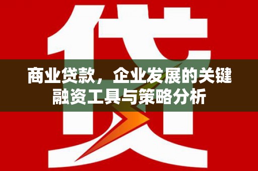坪林商业贷款，企业发展的关键融资工具与策略分析
