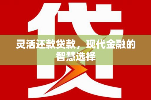 坪林灵活还款贷款，现代金融的智慧选择