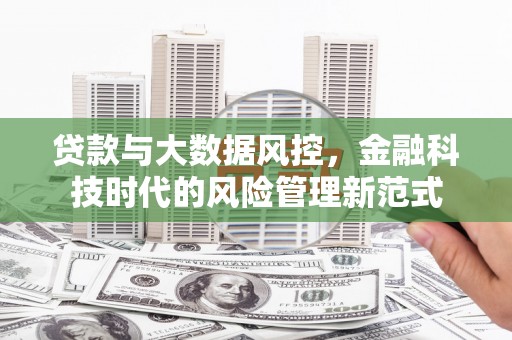 坪林贷款与大数据风控，金融科技时代的风险管理新范式